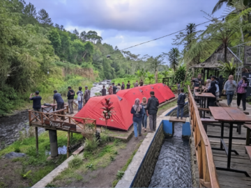 Pinus Camp 2 Songgon: Jelajahi Permata Alam Banyuwangi Pinus Camp 2